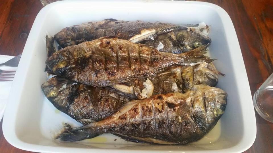 Apartmani Nikoletic Klek Luaran gambar